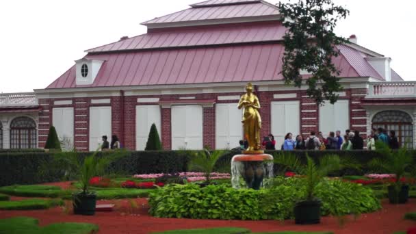 Fonte perto do Palácio Monplaisir Peterhof — Vídeo de Stock