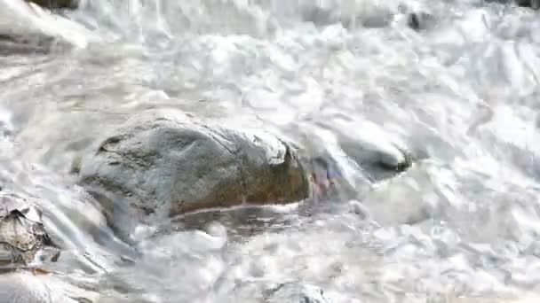 River rapid with rocks, closeup view — Stock Video