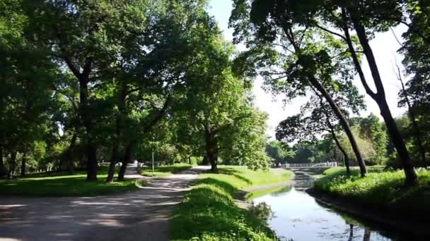 与小河的绿色公园 — 图库视频影像