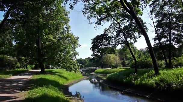 Groene park met kleine rivier — Stockvideo