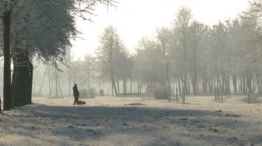 soğuk bir günde Winter park