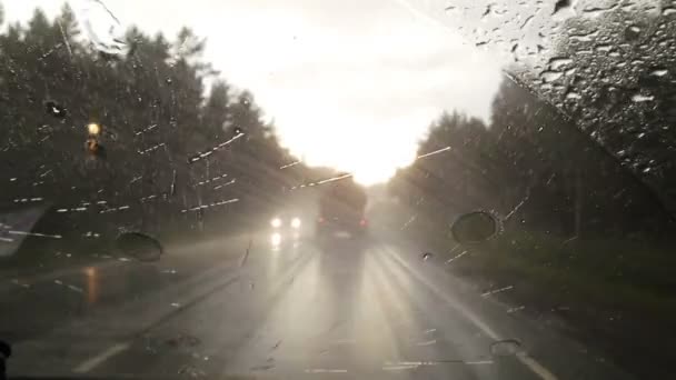 重い雨の中車を運転 — ストック動画