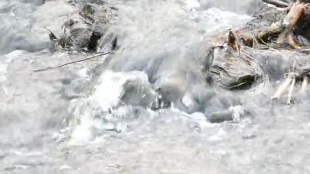 River rapid with rocks, closeup view — Stock Video