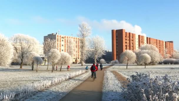 Parque da cidade em um dia de inverno gelado — Vídeo de Stock