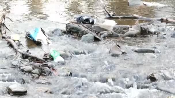 Sampah di Small River — Stok Video