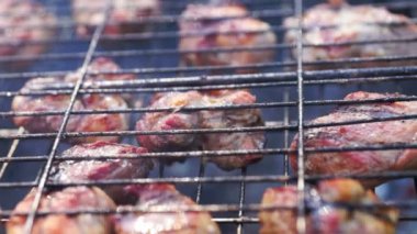 Piknik ile barbekü yaz gün