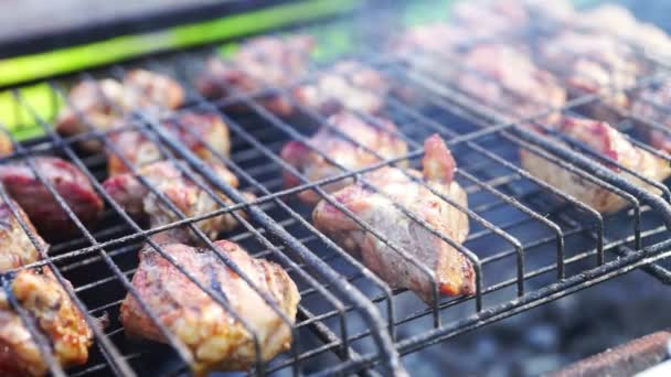 Picnic met barbecue in zomerdag — Stockvideo