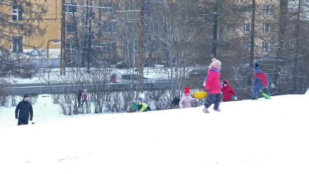 Kinderen genieten van sneeuw Sledge dia — Stockvideo