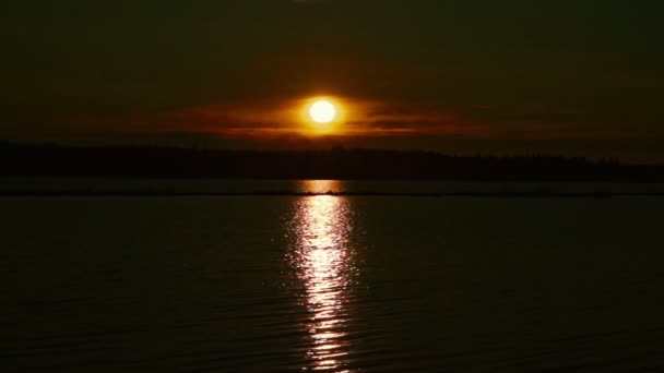Lugna Sunrise på sjön landskap — Stockvideo