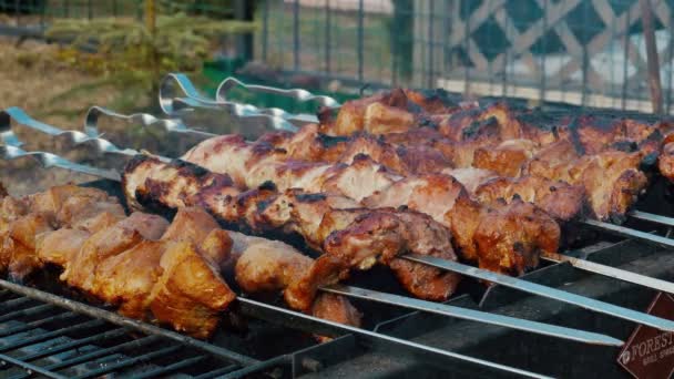 Grillat kött på barbeque — Stockvideo