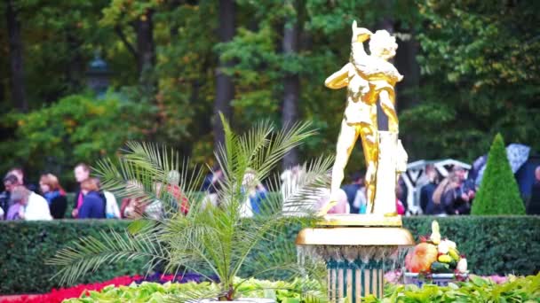 Schöner Brunnen im Stadtpark — Stockvideo