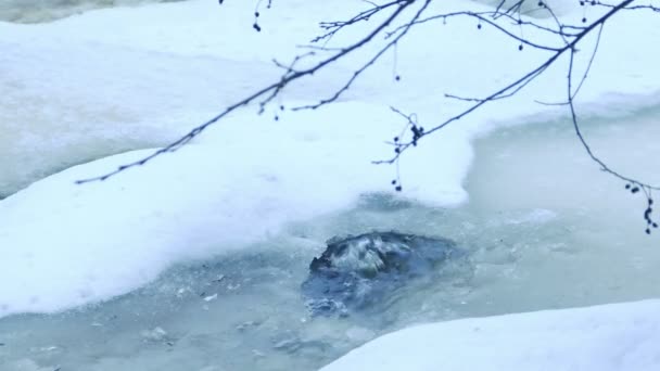 River stream with floating ice in 4K — Stock Video