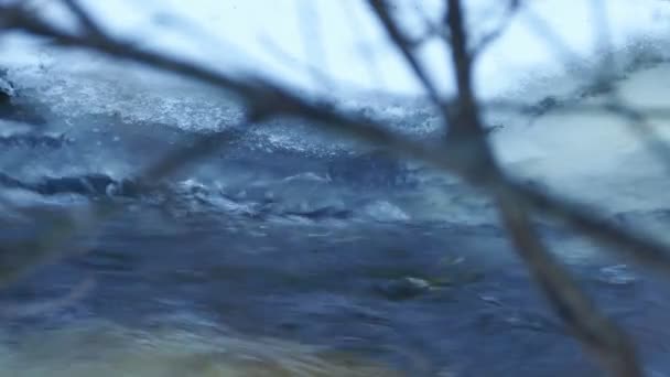 Cours d'eau avec glace flottante en 4K — Video