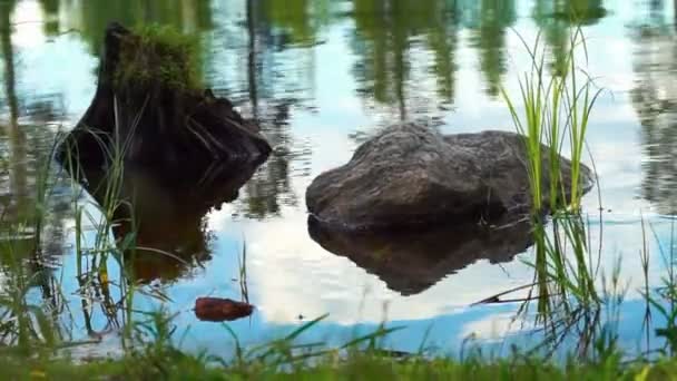 Orilla del lago con rocas y agua azul — Vídeos de Stock