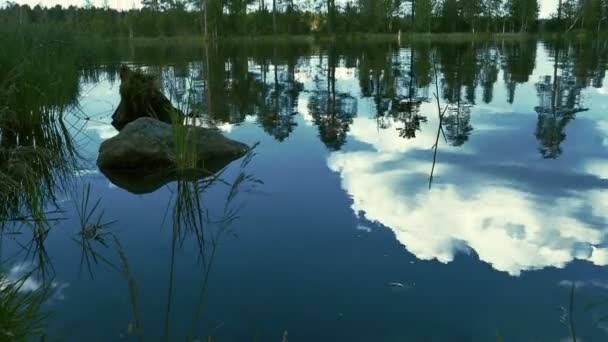 Pierre dans l'eau près de la rive du lac — Video