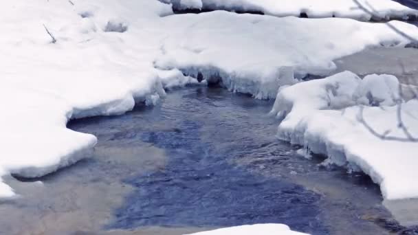 Cours d'eau avec glace flottante en 4K — Video