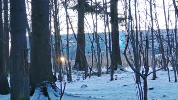 Tåg i vintern sett igenom skogsträd och solnedgång bakom sig, sköt med reglaget — Stockvideo