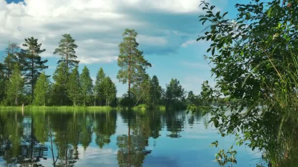 Lindo Lago Paisagem Com Floresta no Banco — Vídeo de Stock