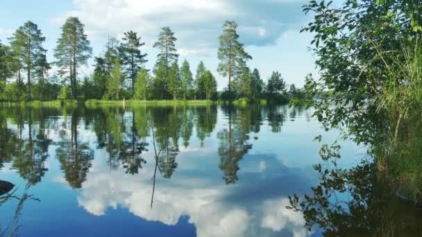 Beau paysage de lac avec forêt sur la rive — Video