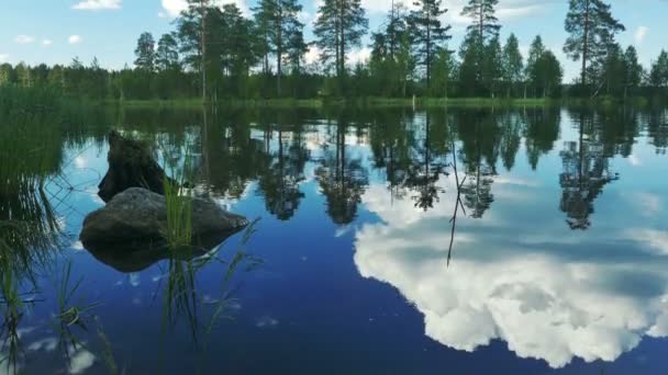 Pierre dans l'eau près de la rive du lac — Video