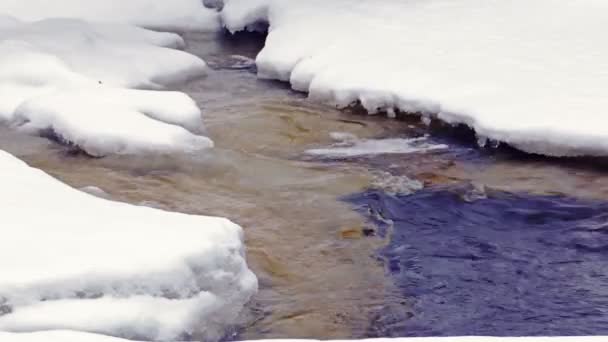 Παγωμένο ποτάμι δάσος σε μια κρύα ημέρα — Αρχείο Βίντεο