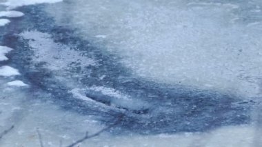 Winter Forest River Seen Through Thin Ice in a Cold Day