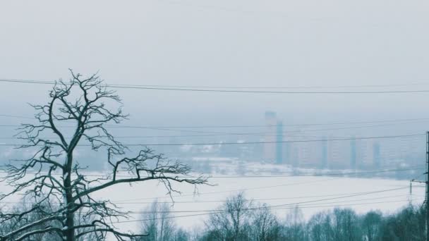 Trees During Heavy Snowfall and City Block of Flats Buildings At Background — Stock Video