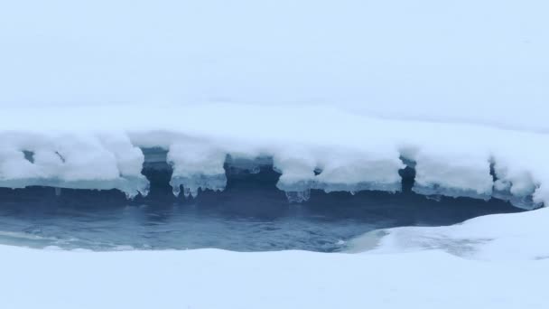 Ледяная река в холодный день — стоковое видео