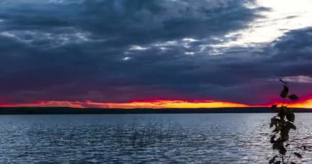 湖畔の明るい夕暮れ — ストック動画