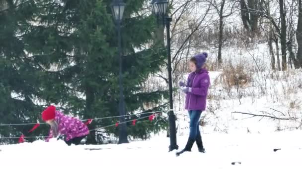 Kinderen met plezier en spelen sneeuwballen in winterse dag — Stockvideo