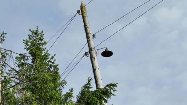 Luz de calle vintage en poste de iluminación de madera — Vídeos de Stock