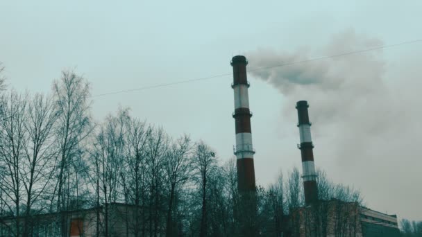 Дым из труб завода — стоковое видео