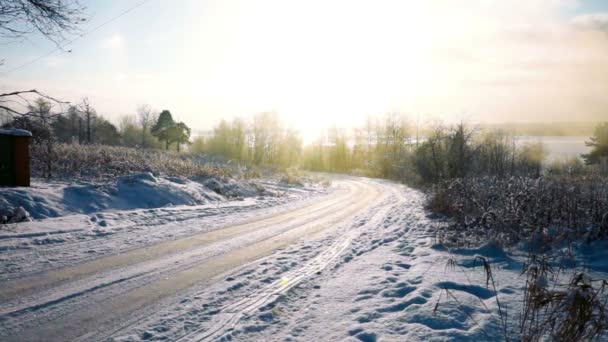 Road-hideg téli napon a havas mezőn — Stock videók