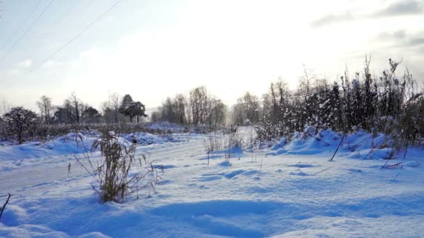 Vägen på ett snöigt fält i kall vinterdag — Stockvideo