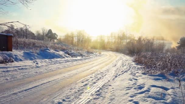 Straße auf einem verschneiten Feld an kalten Wintertagen — Stockvideo