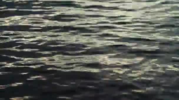 Bulutlu bir günde su yüzeyi — Stok video