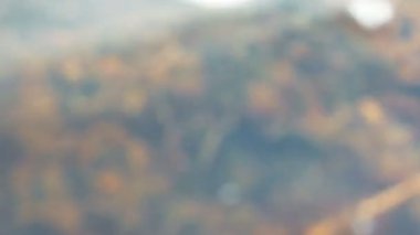 Su sıçramalarına Defocused taşlı Gölü sahilinde