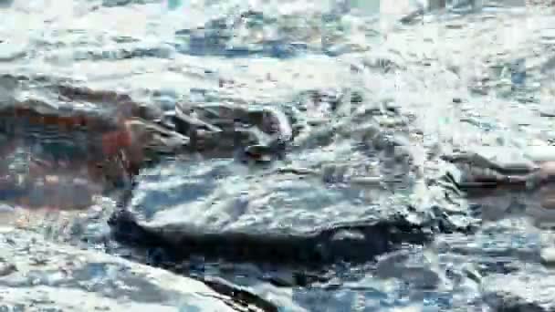 Su sıçramalarına taşlı Lake Shore sahilde — Stok video