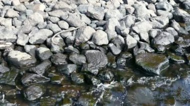 Su sıçramalarına Stones Gölü kıyısında