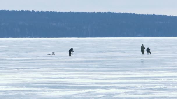 Pescadores en hielo en el lago congelado en invierno — Vídeo de stock