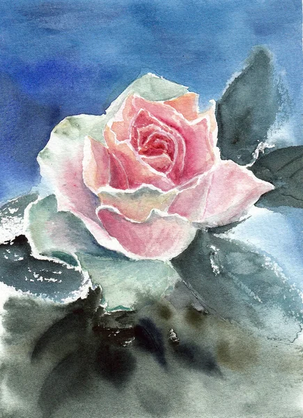 Single light red rose as a symbol of love. Hand drawing in watercolor on white paper