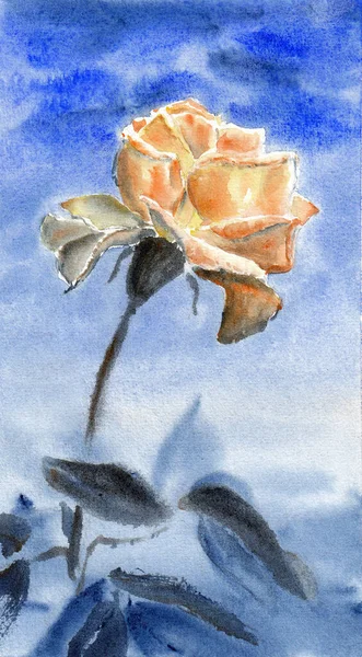 一朵黄色的玫瑰是爱情的象征 白纸上手绘水彩画 — 图库照片