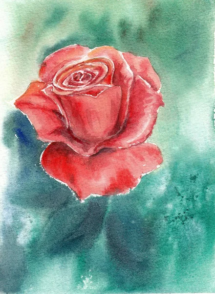 Único Rosa Vermelha Escura Como Símbolo Amor Desenho Mão Aquarela — Fotografia de Stock