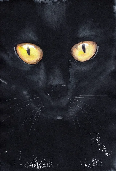 Retrato Gato Con Grandes Ojos Anaranjados Dibujo Mano Acuarela Sobre — Foto de Stock