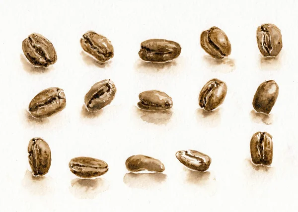 Kávébabot Tervezni Kézzel Rajzolt Illusztráció Kávé Mint Művészeti Anyag Akvarell — Stock Fotó