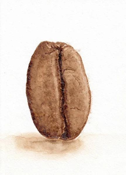 Närbild Enda Kaffeböna Bild För Design Handritad Illustration Med Kaffe — Stockfoto