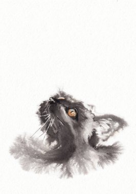 Yukarı bakan kara kedi portresi. Beyaz arka plan. Suluboya kağıt dokusuna porselen mürekkeple çizilmiş.