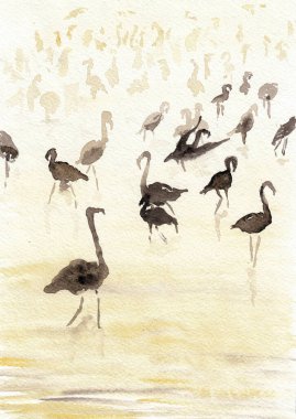 Flamingo göl resimlerinde. Suluboya el, suluboya kağıt dokusuna çizilmiş. Raster resmi