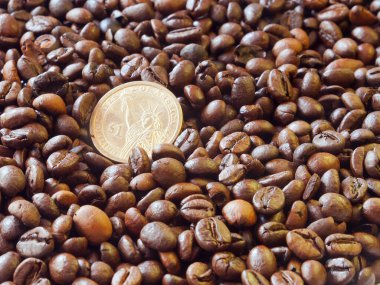 Kahve çekirdeklerinin arka planında bir Amerikan Doları 'na yakın çekim. Para koleksiyonu.