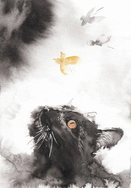 Portrait of black cat looking up to flying butterflies. Light background. Hand drawn in china ink on watercolor paper texture